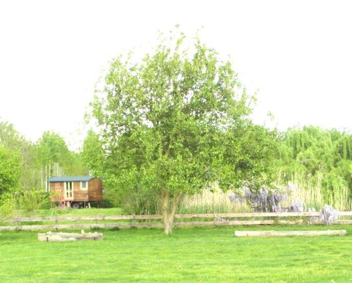 Casetta Sul Lago Albairate Bagian luar foto